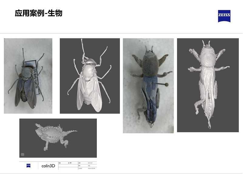 三維藍(lán)光掃描-生物