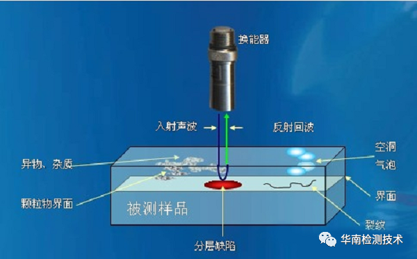 超聲波掃描業務簡介