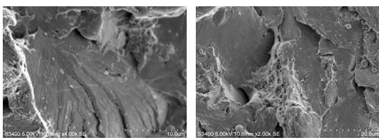 第三方電鏡(SEM/TEM)檢測機(jī)構(gòu)