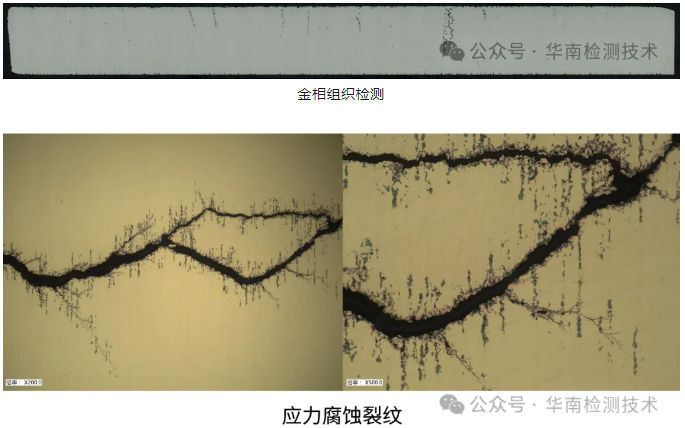 顯微結(jié)構(gòu)分析